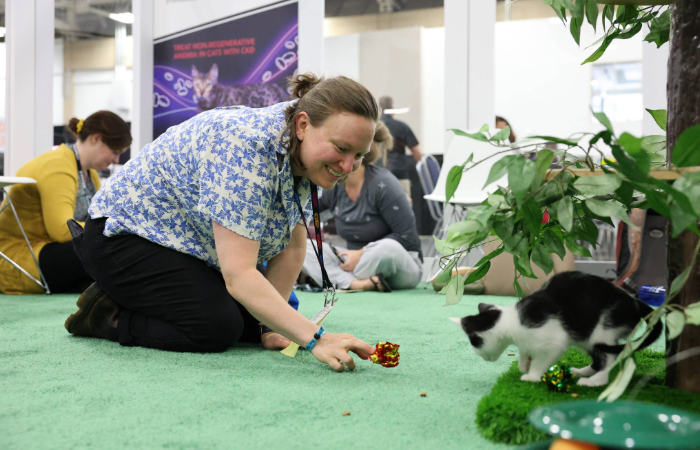 Attendee in the Cat Lounge