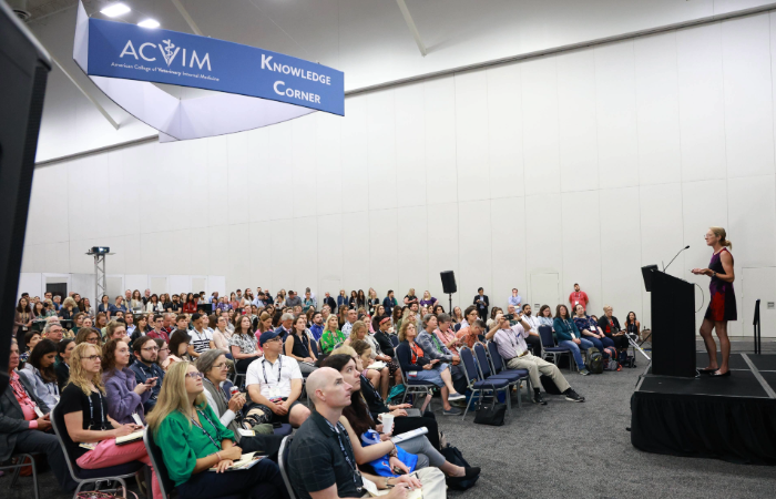 Wide shot of a Knowledge Corner session