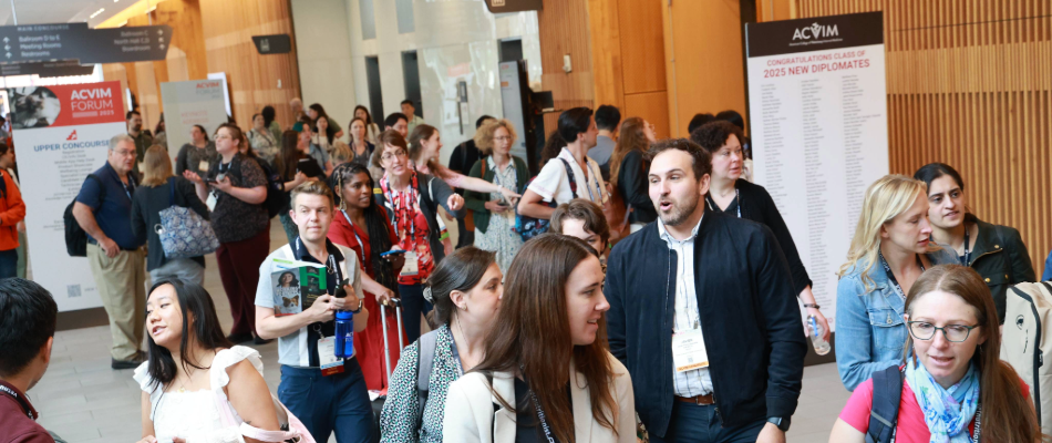 Crowd of attendees in a hallway