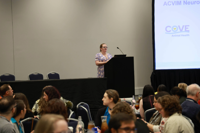 Speaker at a networking luncheon